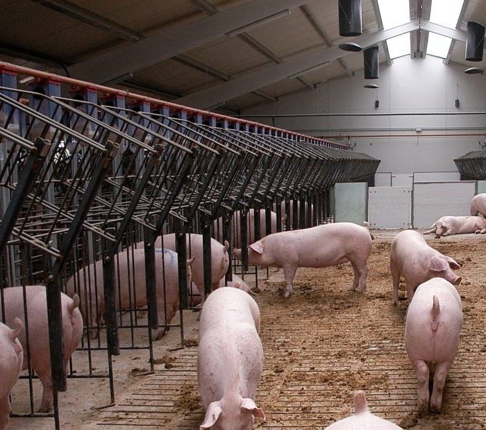 Derecho agroalimentario